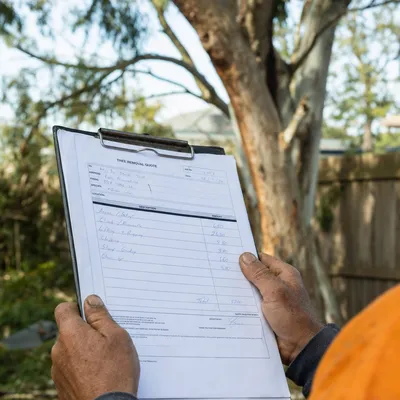 Reading a written tree removal quote in Ferntree Gully