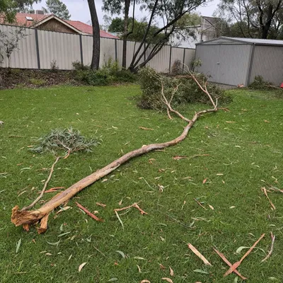 Before: Storm limb over a steep driveway, Ferntree Gully