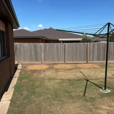 After: Row of cypress along a sloped boundary, Ferntree Gully