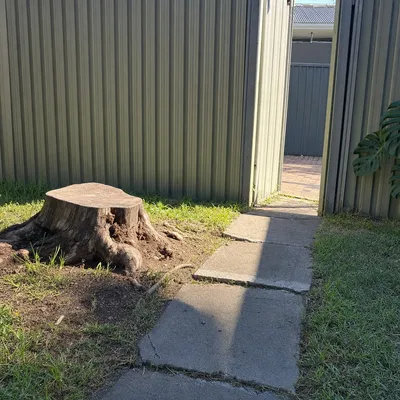 Before: Stump ground on a tight, sloped backyard, Ferntree Gully