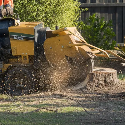Stump Grinding in Ferntree Gully