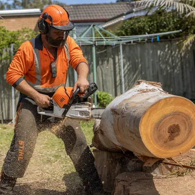 Tree Removal in Ferntree Gully
