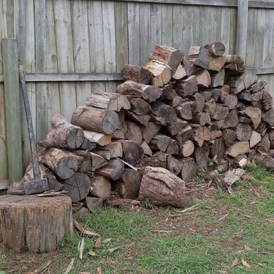 Logs cut for firewood, Ferntree Gully
