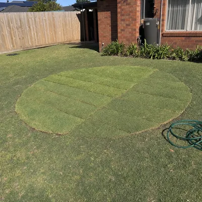 Stump ground 150–300mm under, Ferntree Gully